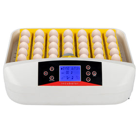 DISHYKOOKER Automatic Incubator 42 Eggs Incubator White
