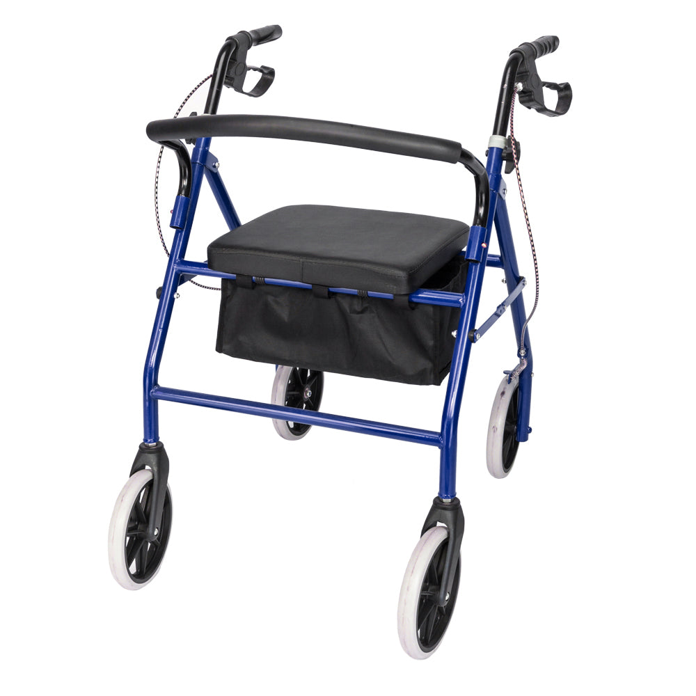 DSSTYLES Basket Walker Chair Wheel Rollator Walker Removable Back Support Blue