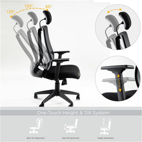 ALICIAN Home Office Desk Chairs High Ergonomic Chair Black