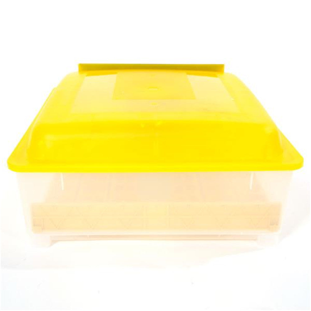 DISHYKOOKER Poultry Automatic Incubator Set for 48 Eggs Yellow